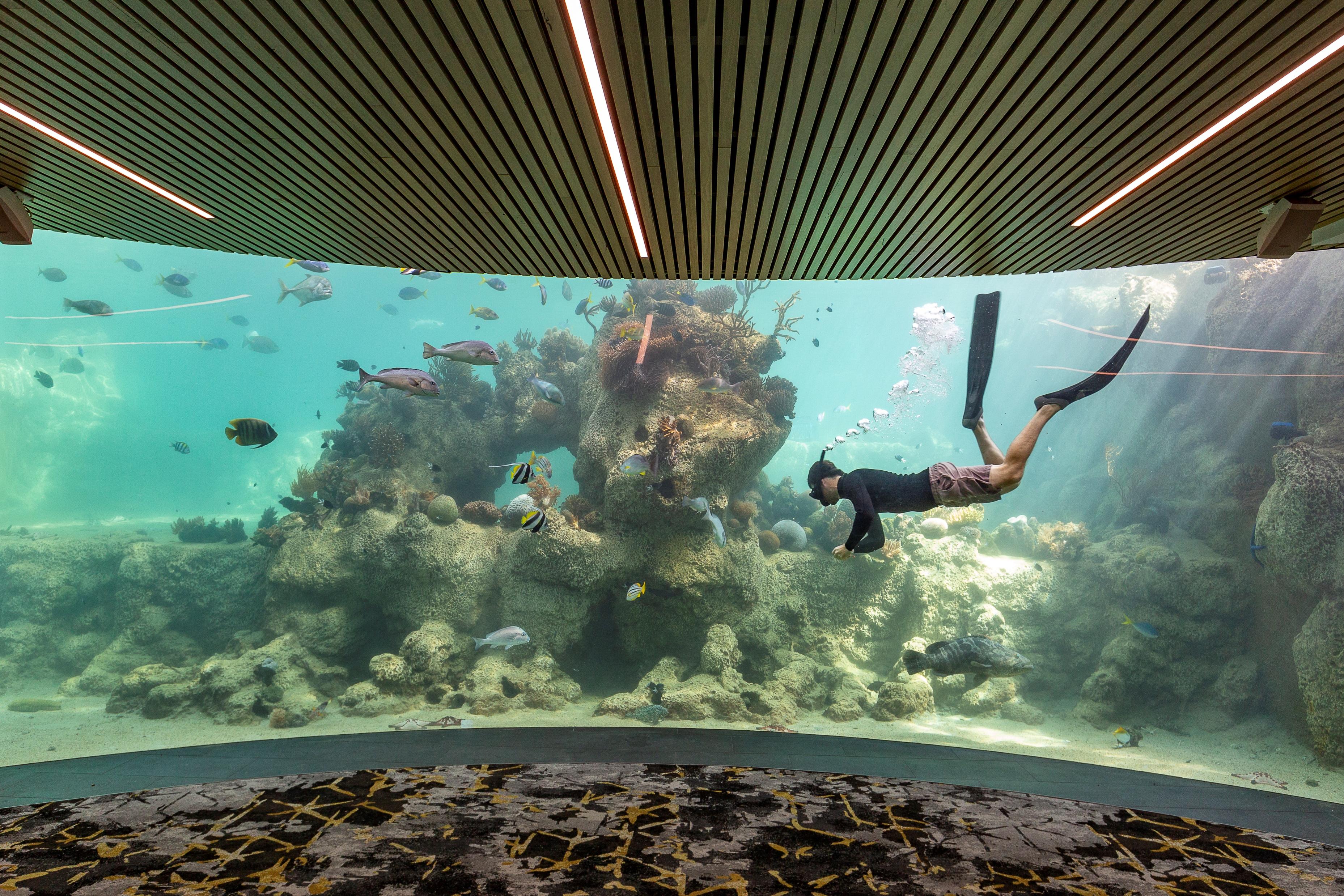 Daydream Island Resort Екстериор снимка