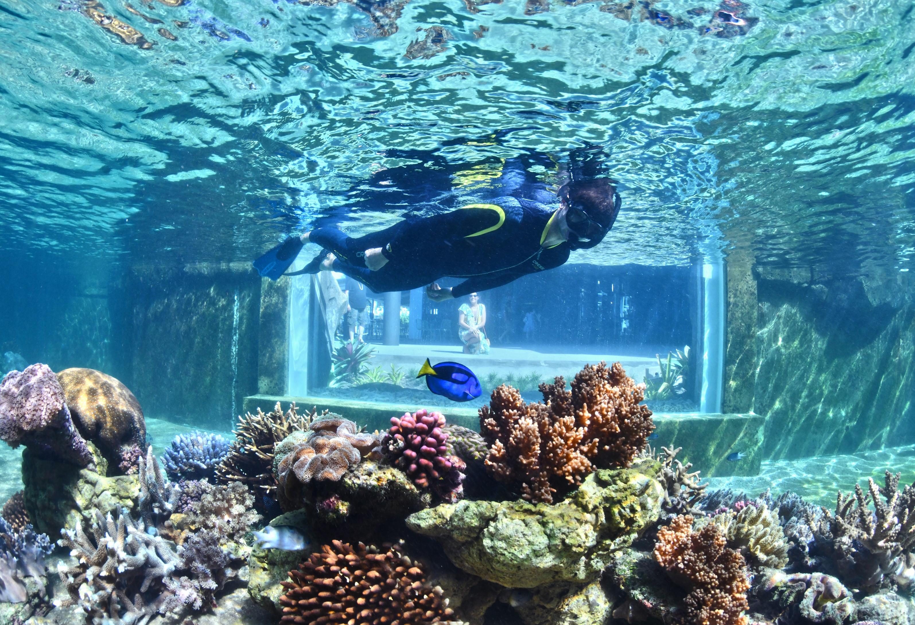 Daydream Island Resort Екстериор снимка